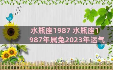 水瓶座1987 水瓶座1987年属兔2023年运气